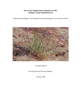 Survey for Stephanomeria Fluminea on the Bridger-Teton National Forest