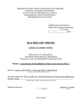 Bachelor Thesis