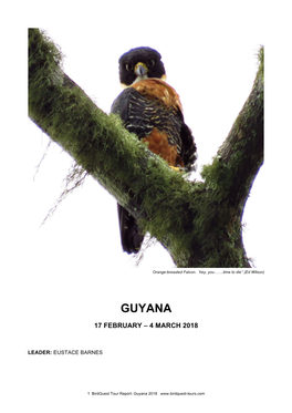 Guyana Tour Report 2018