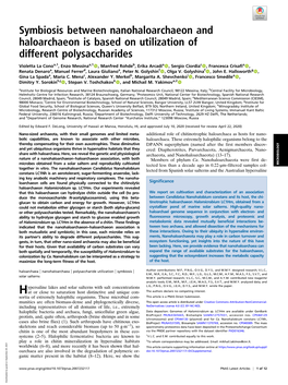 Symbiosis Between Nanohaloarchaeon and Haloarchaeon Is Based on Utilization of Different Polysaccharides