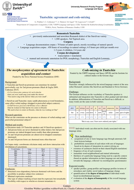 Tuatschin: Agreement and Code-Mixing the Morphosyntax Of