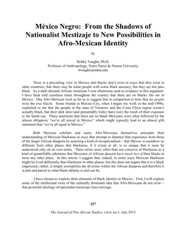 México Negro: from the Shadows of Nationalist Mestizaje to New Possibilities in Afro-Mexican Identity