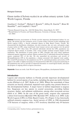 Green Turtles (Chelonia Mydas) in an Urban Estuary System: Lake Worth Lagoon, Florida