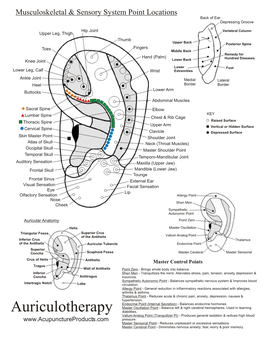 Auriculotherapy Diabilities