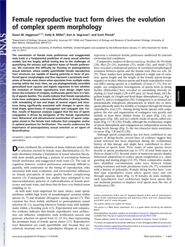 Female Reproductive Tract Form Drives the Evolution of Complex Sperm Morphology