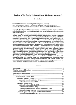 Review of the Family Halopterididae (Hydrozoa, Cnidaria)