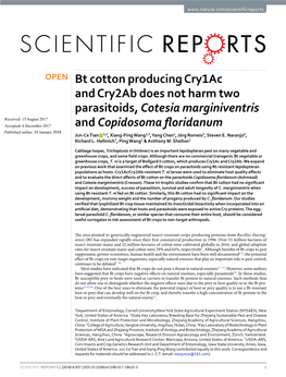 Bt Cotton Producing Cry1ac and Cry2ab Does Not Harm Two