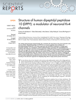 Structure of Human Dipeptidyl Peptidase 10 This Work Is Licensed Under a Creative Commons Attribution 4.0 International (DPPY): a Modulator of Neuronal Kv4 Channels