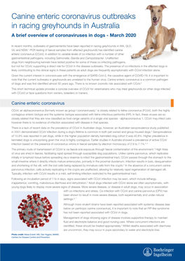 Canine Enteric Coronavirus Outbreaks in Racing Greyhounds in Australia a Brief Overview of Coronaviruses in Dogs - March 2020