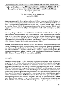 Notes on the Taxonomy of the Genus Kretania (Beuret , 1959) with the Description of a New Species from the Black Sea Coast of Russia (Lepidoptera, Lycaenidae) by V