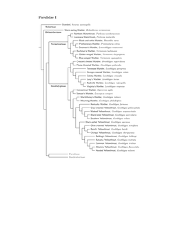 Parulidae Species Tree