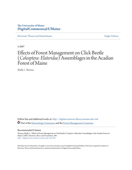Effects of Forest Management on Click Beetle (Coleoptera: Elateridae) Assemblages in the Acadian Forest of Maine Shelly L