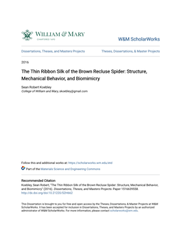 The Thin Ribbon Silk of the Brown Recluse Spider: Structure, Mechanical Behavior, and Biomimicry