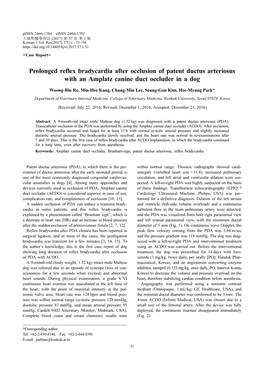 Prolonged Reflex Bradycardia After Occlusion of Patent Ductus Arteriosus with an Amplatz Canine Duct Occluder in a Dog
