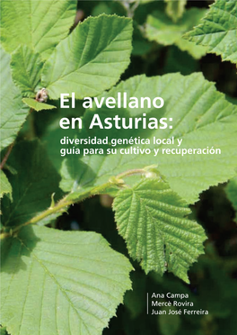 El Cultivo Del Avellano En Asturias