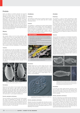 Protists Protists Are Defined As Unicellular Eukaryotes (See Page 30)