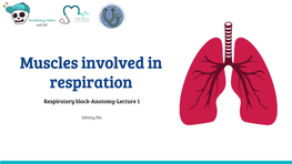 Muscles Involved in Respiration