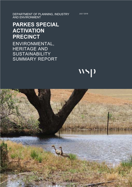 Parkes Special Activation Precinct Environmental, Heritage and Sustainability Summary Report