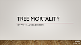 Tree Mortality