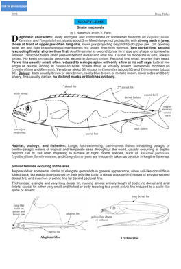 GEMPYLIDAE Snake Mackerels by I