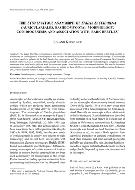 The Synnematous Anamorph of Exidia Saccharina (Auriculariales, Basidiomycota): Morphology, Conidiogenesis and Association with Bark Beetles*