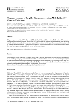 Three New Synonyms of the Spider Miagrammopes Guttatus Mello-Leitão, 1937 (Araneae: Uloboridae)