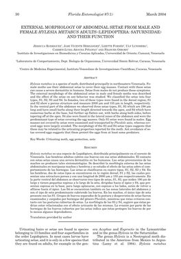 External Morphology of Abdominal Setae from Male and Female Hylesia Metabus Adults (Lepidoptera: Saturniidae) and Their Function