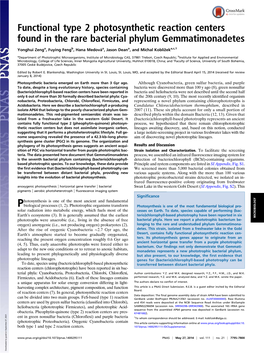 Functional Type 2 Photosynthetic Reaction Centers Found in the Rare Bacterial Phylum Gemmatimonadetes