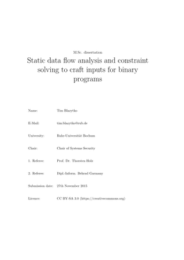 Static Data Flow Analysis and Constraint Solving to Craft Inputs For