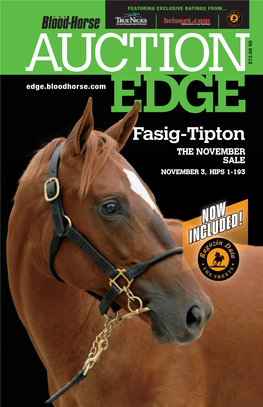 2014 Fasig-Tipton November Sale