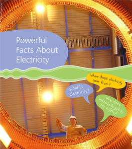 Powerful Facts About Electricity How Is Electricity Made? What Is Electricity?