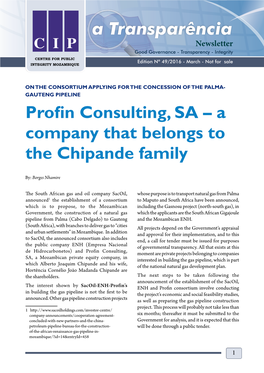 Profin Consulting, SA – a Company That Belongs to the Chipande Family