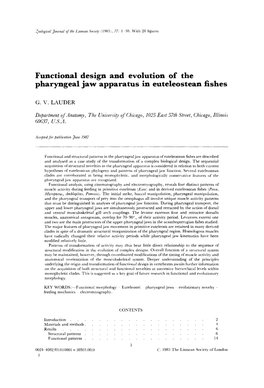 Functional Design and Evolution of the Pharyngeal Jaw Apparatus in Euteleostean Fishes