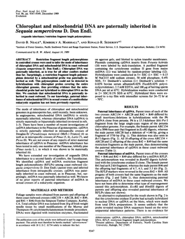 Chloroplast and Mitochondrial DNA Are Paternally Inherited in Sequoia Sempervirens D