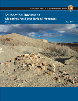 Tule Springs Fossil Beds National Monument Foundation Document