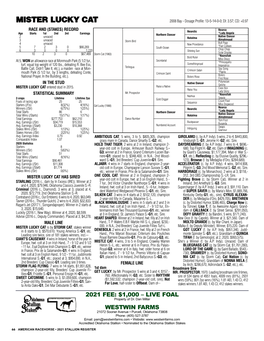 MISTER LUCKY CAT 2008 Bay - Dosage Profile: 13-5-14-0-0; DI: 3.57; CD: +0.97