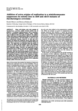 Saccharomyces Cerevisiae