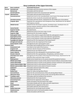 Bony Landmark Chart