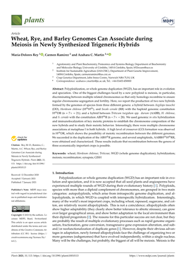 Wheat, Rye, and Barley Genomes Can Associate During Meiosis in Newly Synthesized Trigeneric Hybrids