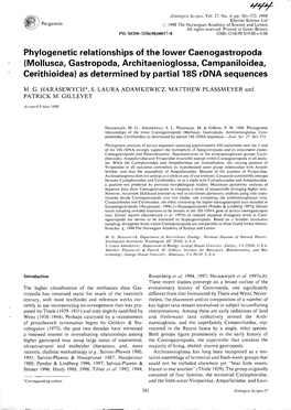 Phylogenetic Relationships of the Lower Caenogastropoda (Molluscs, Gastropoda, Architaenioglossa, Campaniloidea, Cerithioidea) A