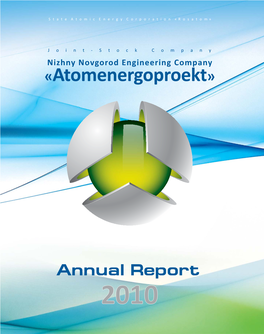 JSC NIAEP Annual Report 2010