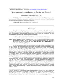 New Combinations and Notes on Buellia and Rostania