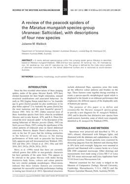 A Review of the Peacock Spiders of the Maratus Mungaich Species-Group (Araneae: Salticidae), with Descriptions of Four New Species Julianne M