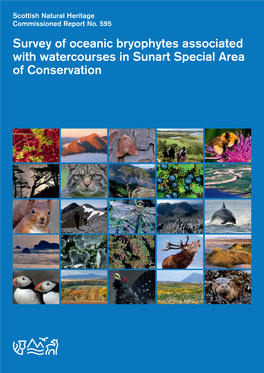 SNH Commissioned Report 595: Survey of Oceanic Bryophytes Associated with Watercourses in Sunart Special Area of Conservation