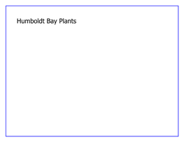 Humboldt Bay Plants Acknowledgements