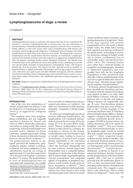 Lymphangiosarcoma of Dogs: a Review