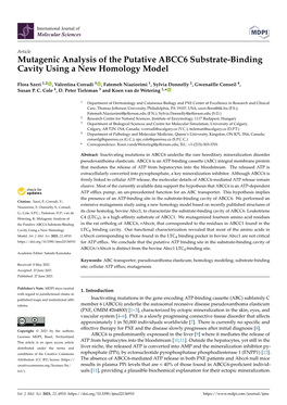 Mutagenic Analysis of the Putative ABCC6 Substrate-Binding Cavity Using a New Homology Model