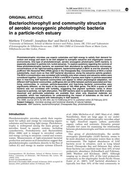 Bacteriochlorophyll and Community Structure of Aerobic Anoxygenic Phototrophic Bacteria in a Particle-Rich Estuary