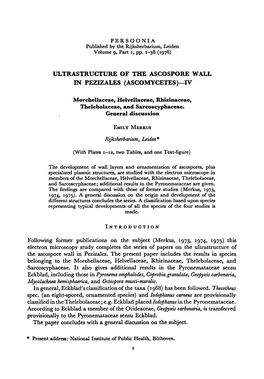 (Ascomycetes)—IV. Morchellaceae, Helvellaceae, Rhizinaceae