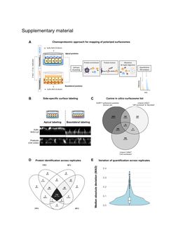 Supplementary Material